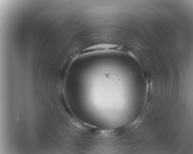 X0000067460188200604142334