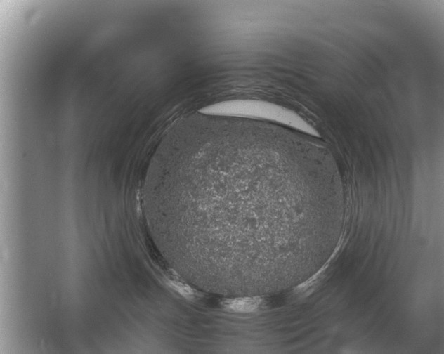 X0000067460191200604142334