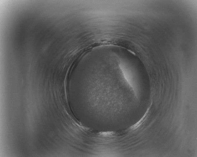 X0000067460192200604142334