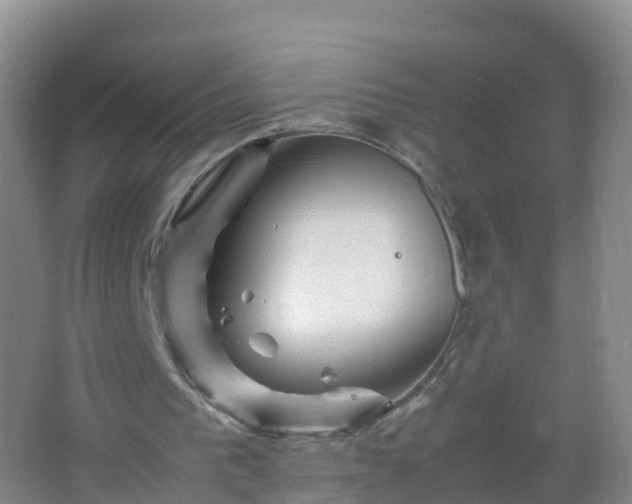 X0000067460193200604142333