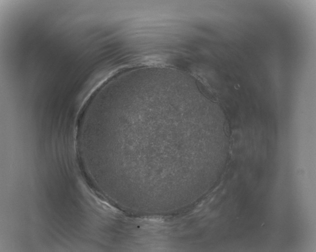 X0000067460194200604142333