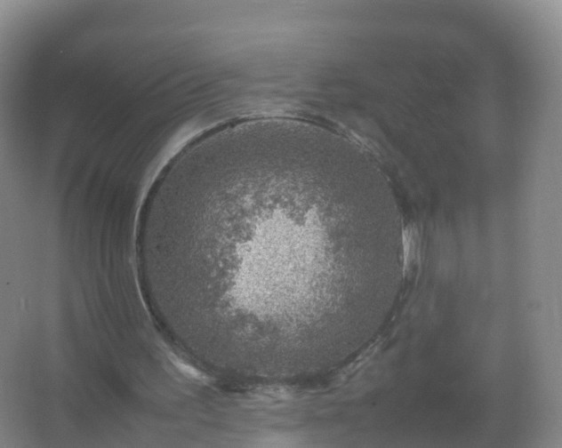 X0000067460195200604142333