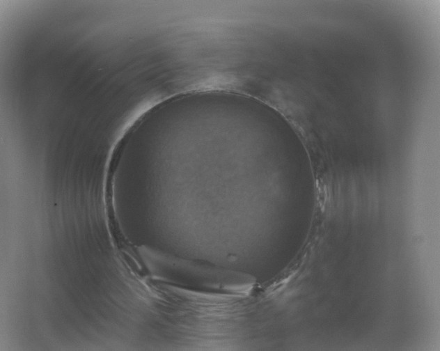 X0000067460196200604142333