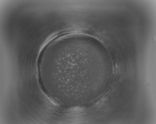 X0000067460198200604142333