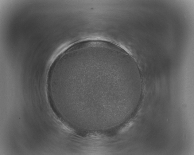 X0000067460199200604142333