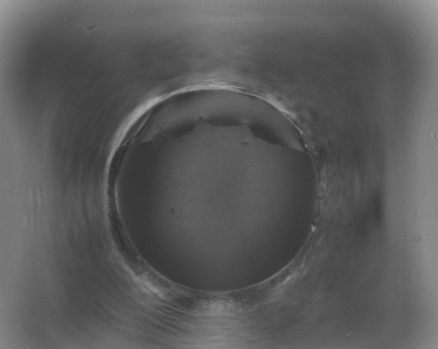 X0000067460200200604142333