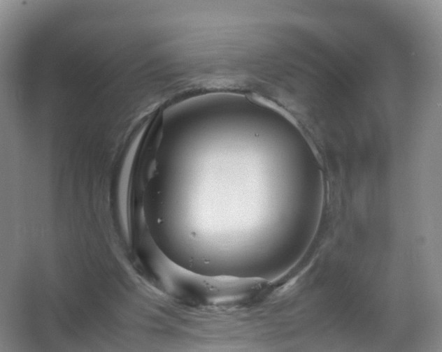 X0000067460201200604142333