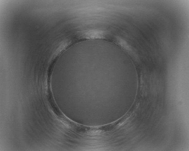 X0000067460202200604142333