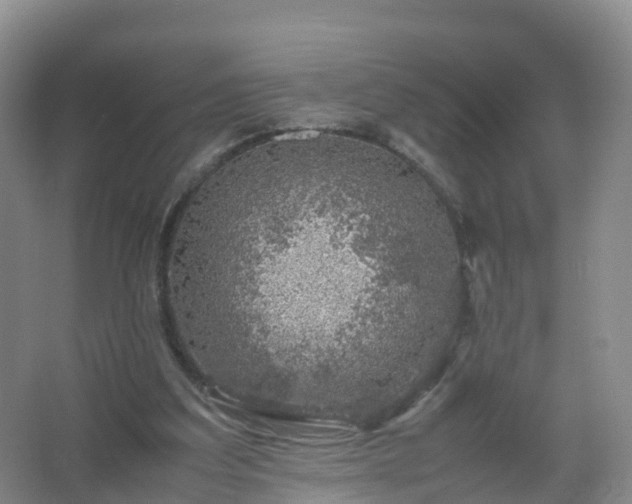 X0000067460203200604142333