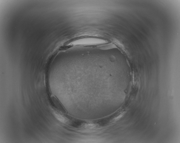 X0000067460205200604142333