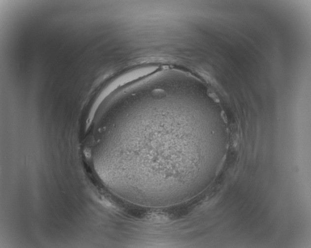 X0000067460207200604142333