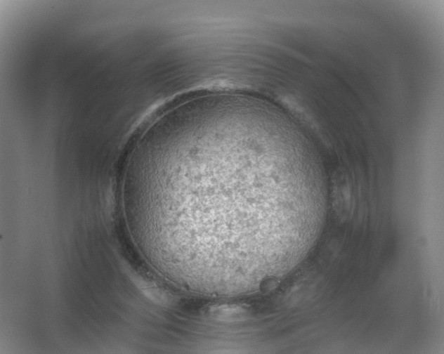 X0000067460208200604142333