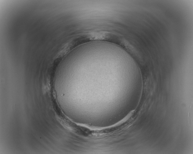 X0000067460209200604142333