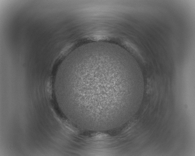 X0000067460210200604142333