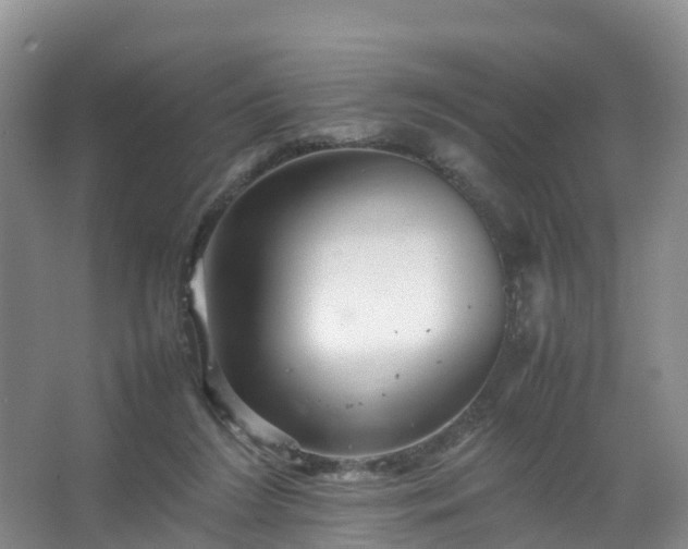 X0000067460212200604142333