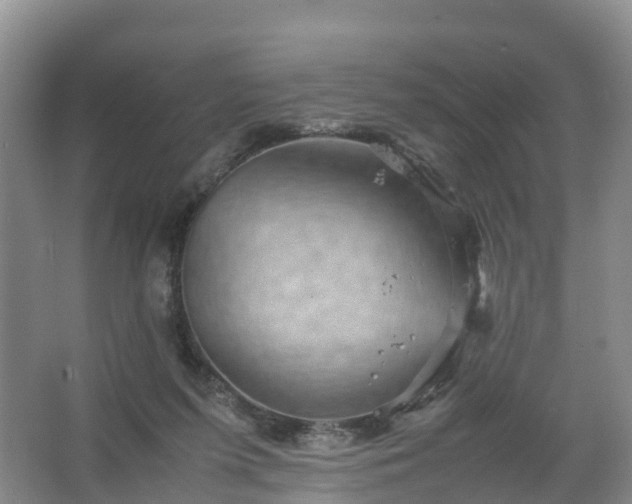 X0000067460215200604142333