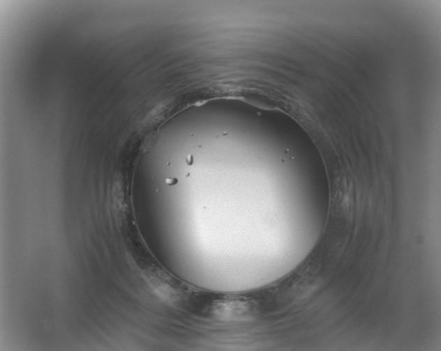 X0000067460220200604142333