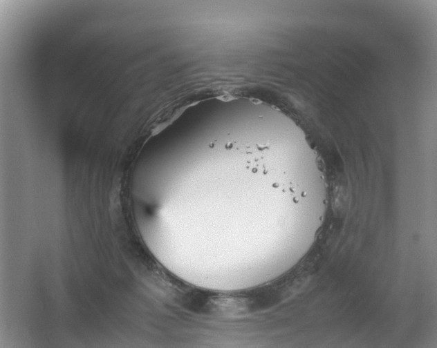 X0000067460221200604142333