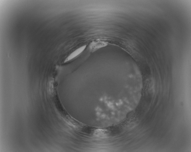 X0000067460222200604142333