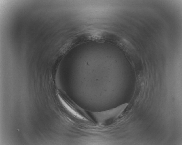 X0000067460223200604142333