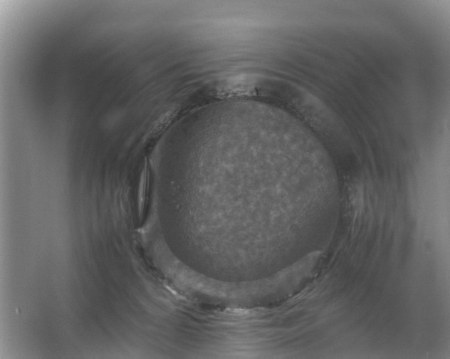 X0000067460224200604142333