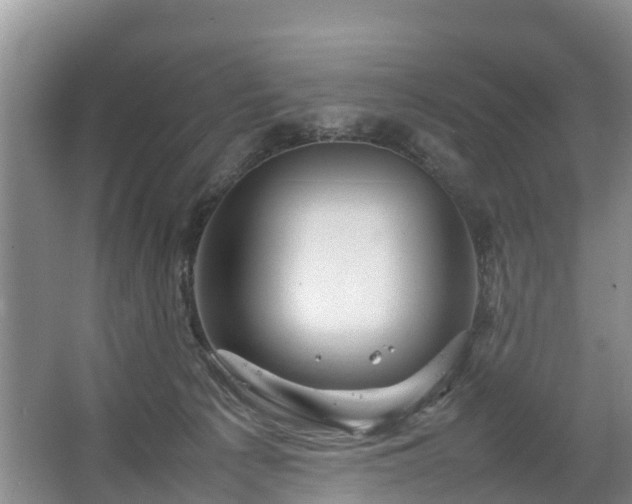 X0000067460225200604142333