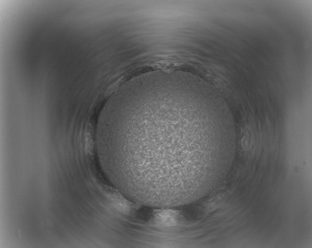 X0000067460226200604142333