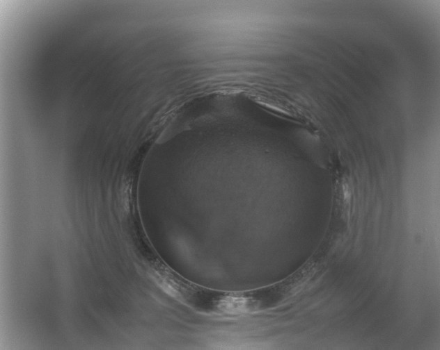 X0000067460227200604142333