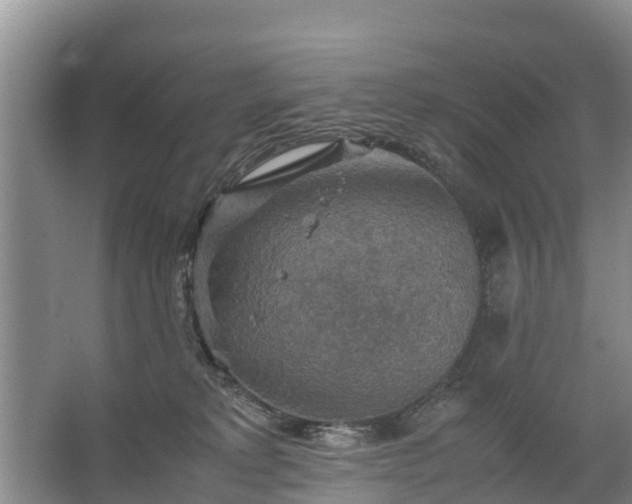 X0000067460229200604142333