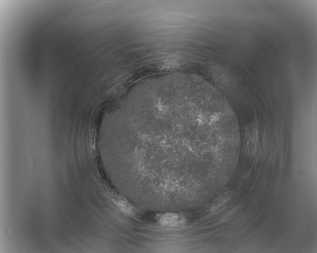 X0000067460230200604142333