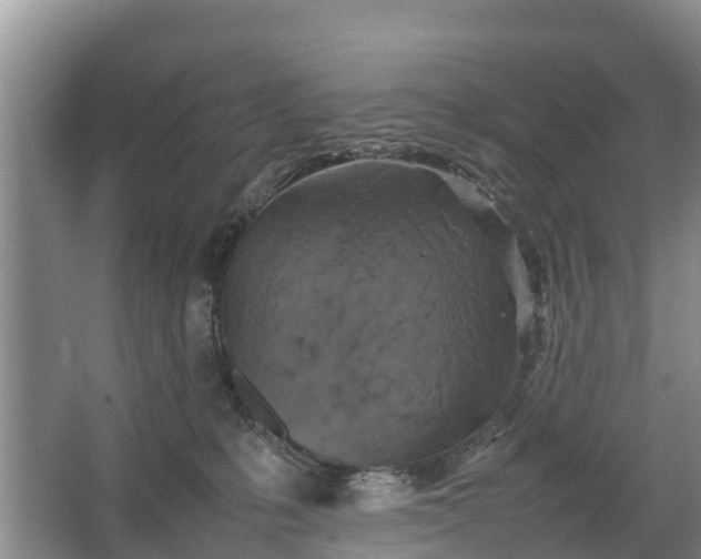 X0000067460231200604142333