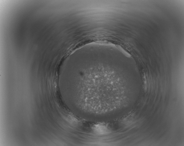 X0000067460232200604142333