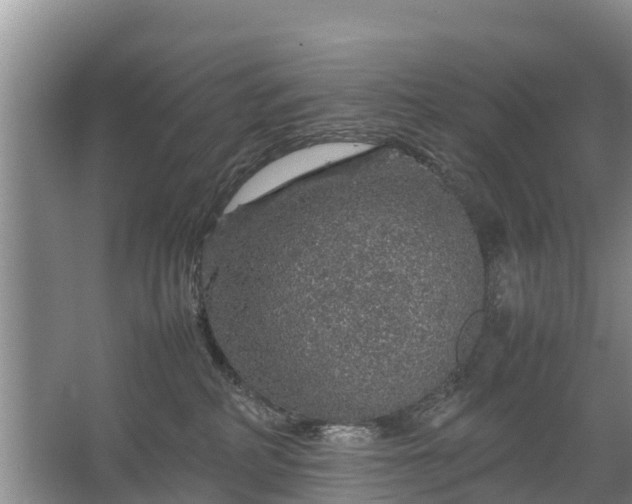 X0000067460234200604142333