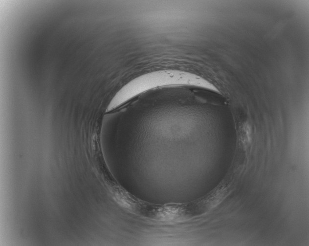 X0000067460235200604142333