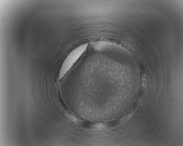 X0000067460237200604142333