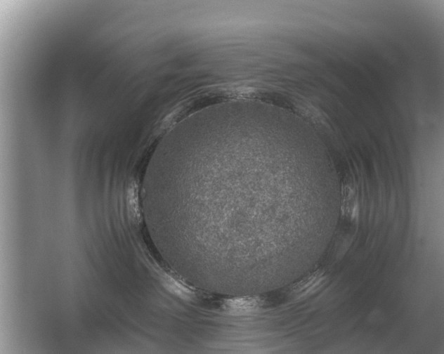 X0000067460238200604142333