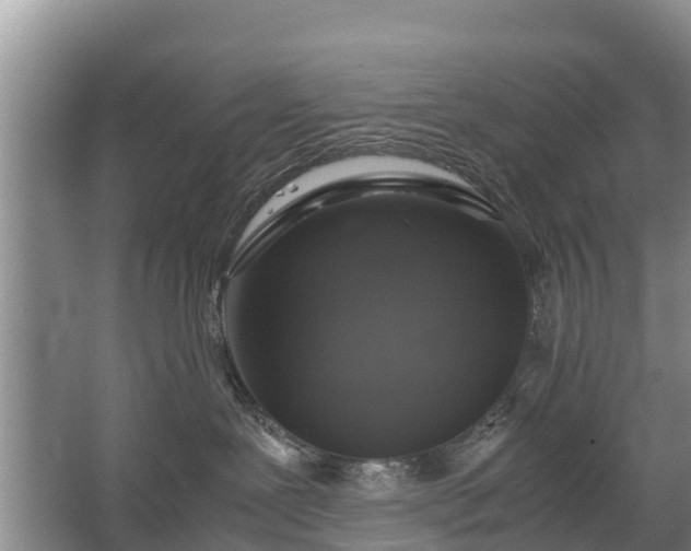 X0000067460239200604142332