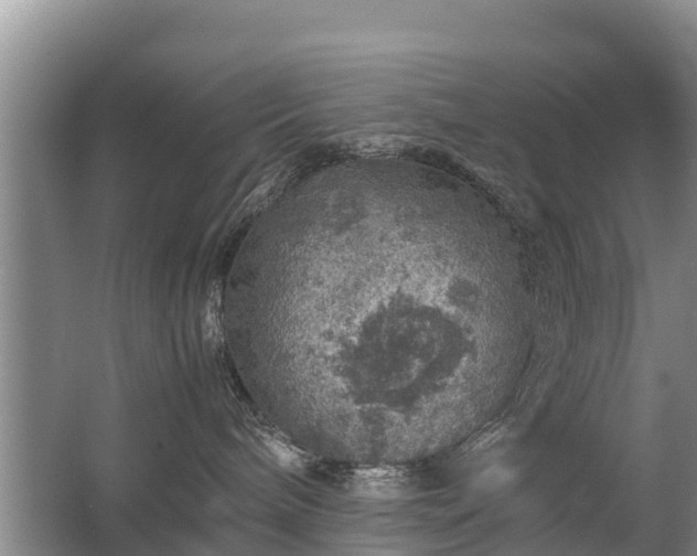 X0000067460240200604142332