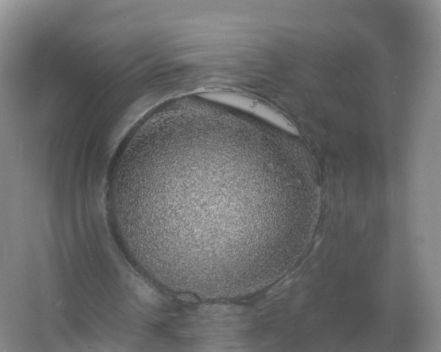 X0000067460242200604142332