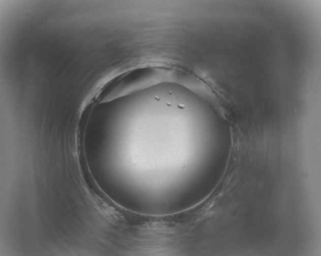 X0000067460244200604142332