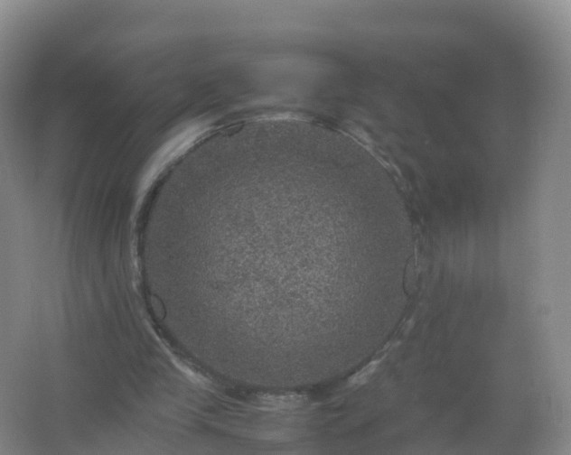 X0000067460245200604142332