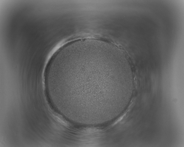 X0000067460246200604142332