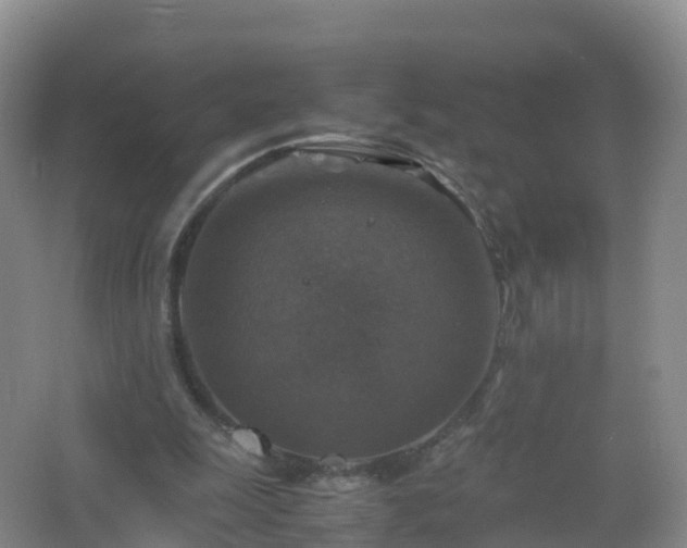 X0000067460247200604142332