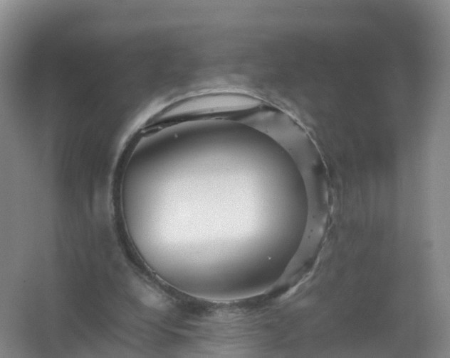 X0000067460248200604142332