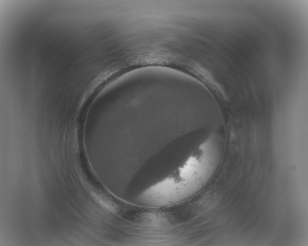 X0000067460250200604142332