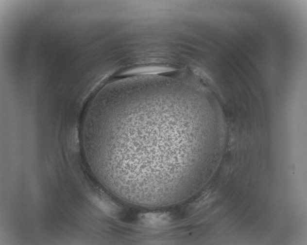 X0000067460251200604142332