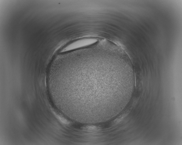 X0000067460253200604142332