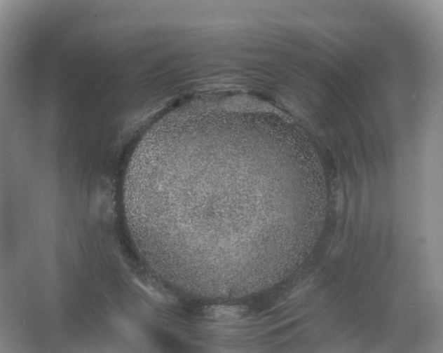 X0000067460255200604142332