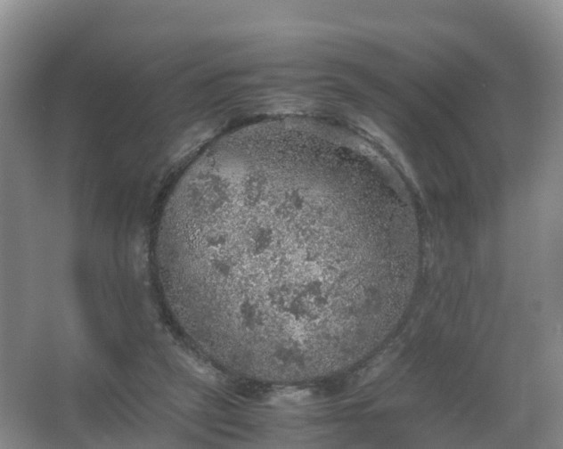 X0000067460257200604142332