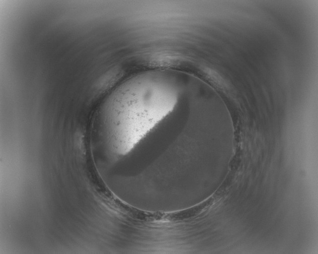 X0000067460258200604142332